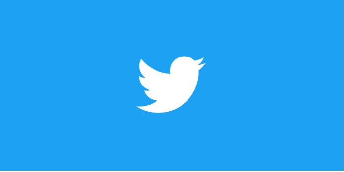 Photo of Twitter Blue is updated: new customizations arrive