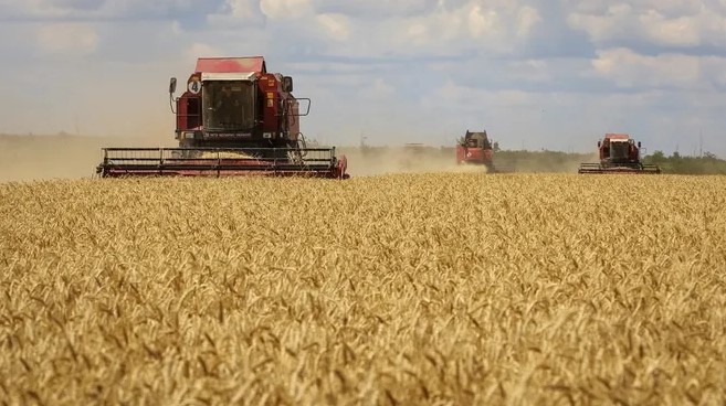 Wheat fell from three-month high