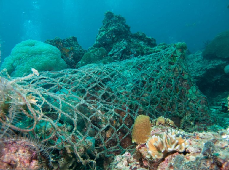 Ligurian Sea: a net of 300 meters on the seabed polluted and suffocated biodiversity