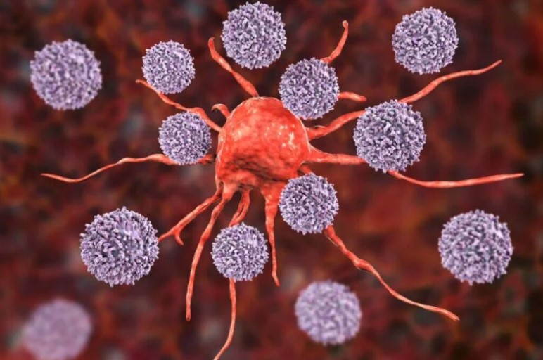White blood cells responsible for autoimmune disease, found the real culprit