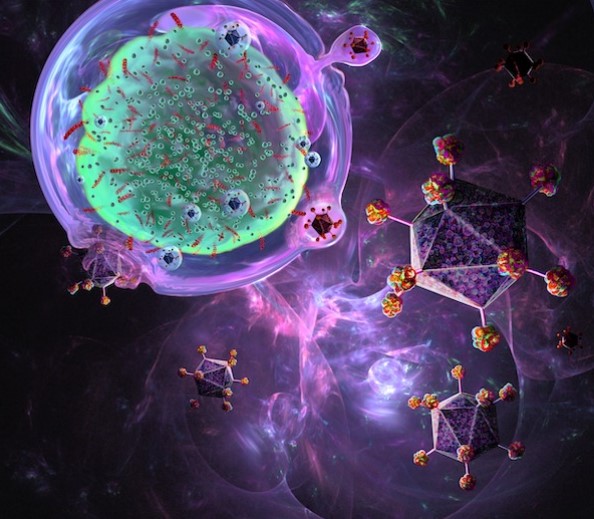 Cells that are activated on demand against cancer