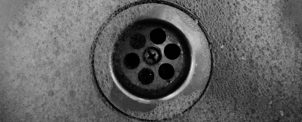 Sink drain: dangerous to health according to a new study