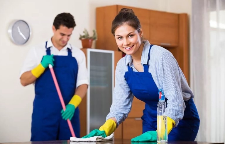 Gender differences in housework, what if it's a perception problem?