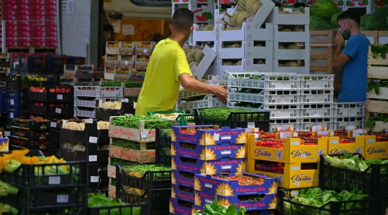 Pesticides: on 44% of fruit and vegetables in Italy
