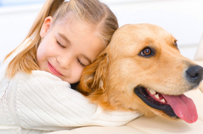 Pet Therapy and Animal Assisted Interventions (IAA): the differences